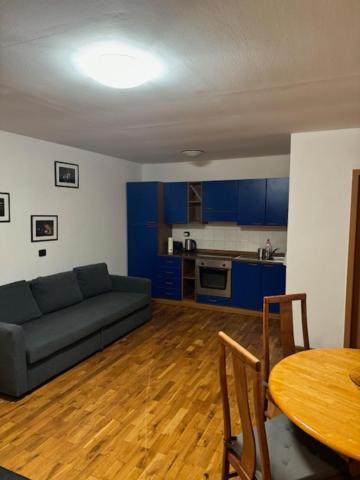 Vitkova Duplex With Terrace Near Florenc * Praga